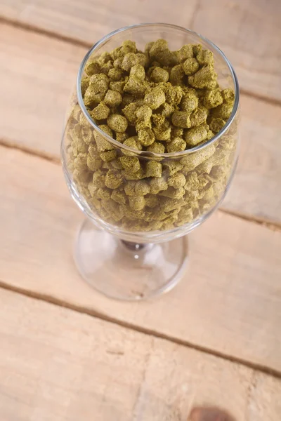 Hopfen im Glas — Stockfoto