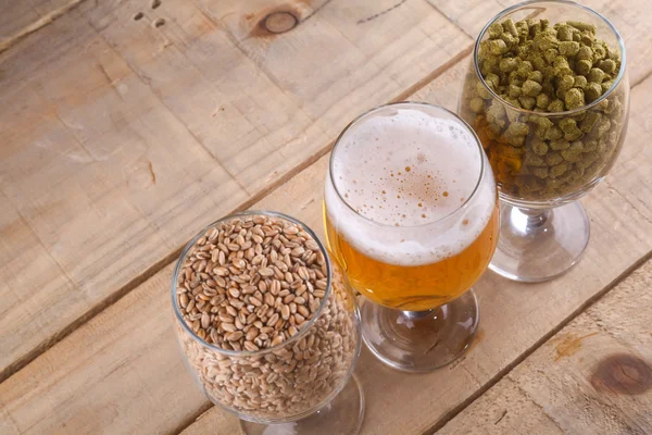 Light beer and ingredients — Stock Photo, Image