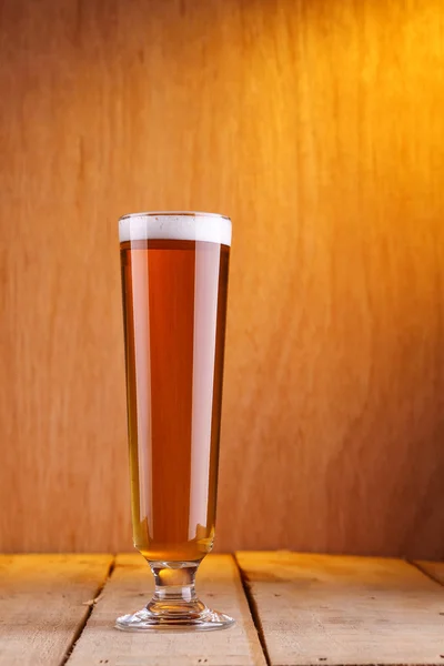 Copo de cerveja pilsner — Fotografia de Stock