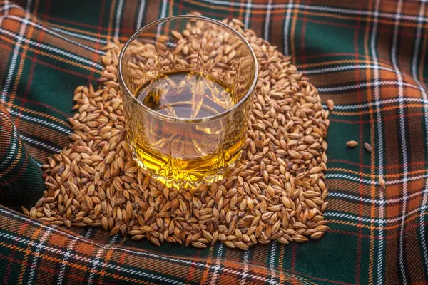 Whisky y granos — Foto de Stock