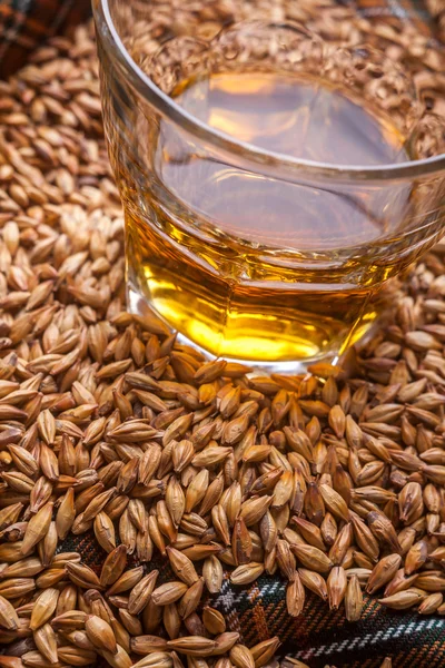 Whisky y granos — Foto de Stock