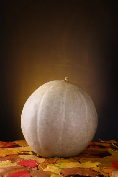 Pumpkin in leaves — Stock Photo, Image