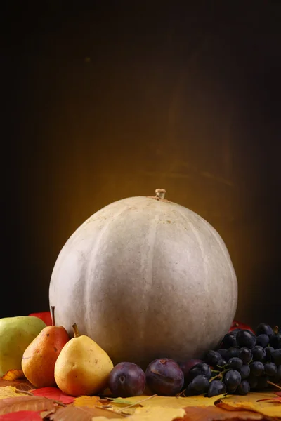 Pumpkin with fruits over leaves — Stock Photo, Image