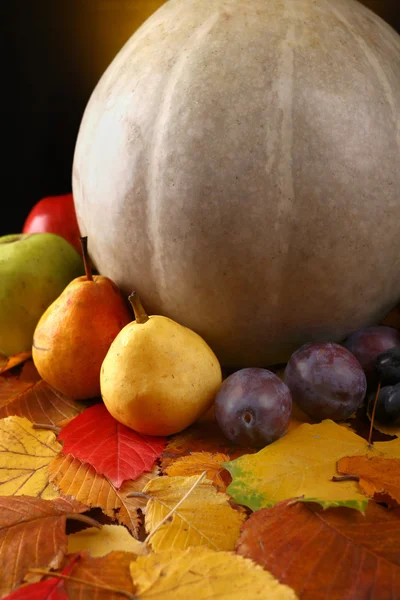 Pumpkin with fruits over leaves — Stock Photo, Image