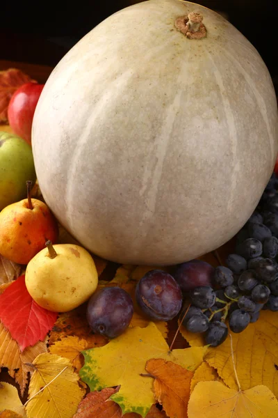 Pumpkin with fruits over leaves — Stock Photo, Image