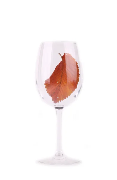 Podzimní listí ve sklenici — Stock fotografie