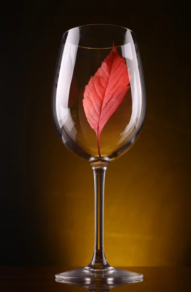 Red leaf in a glass — Stock Photo, Image