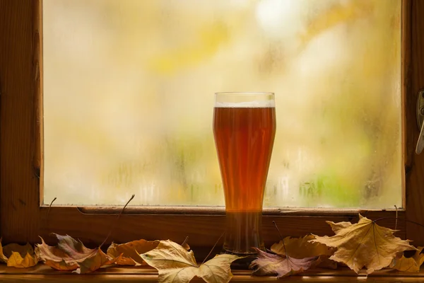 Осенний бокал пива — стоковое фото