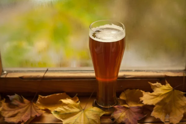 Herbstbierglas — Stockfoto