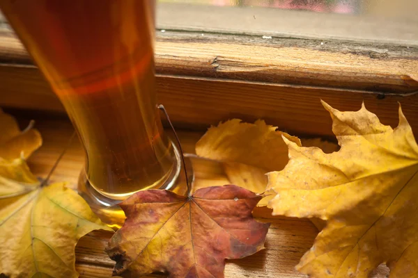 Herbstbierglas — Stockfoto