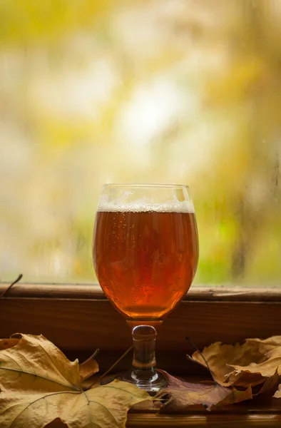 Autunno bicchiere di birra — Foto Stock