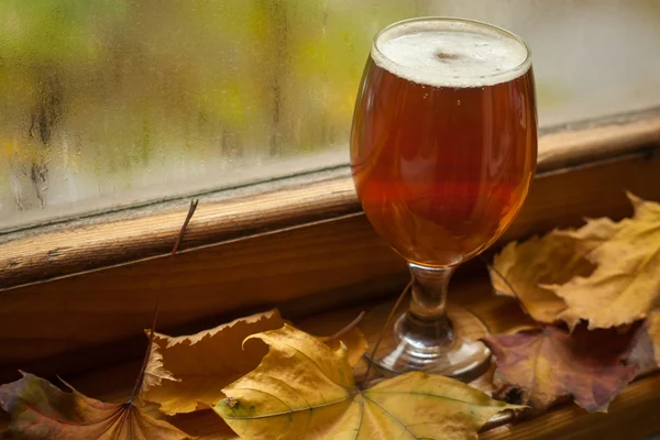 Sonbahar bira cam — Stok fotoğraf