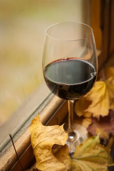 Rotwein im Herbst — Stockfoto