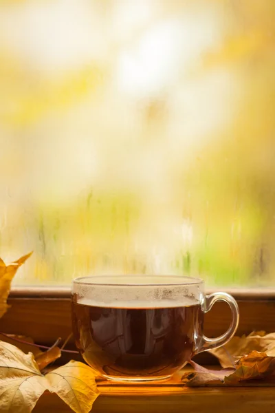 Осенний чай — стоковое фото