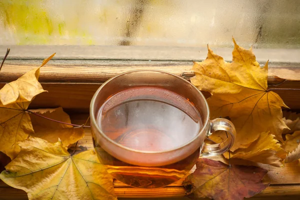 Autumn tea — Stock Photo, Image