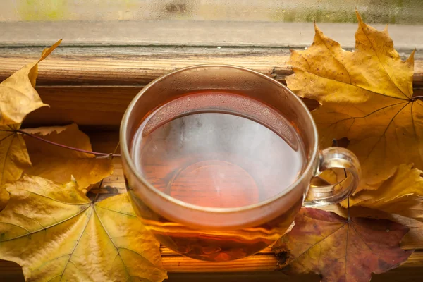 Autumn tea — Stock Photo, Image