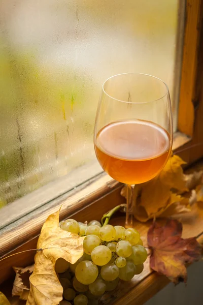 Podzim, bílé víno — Stock fotografie