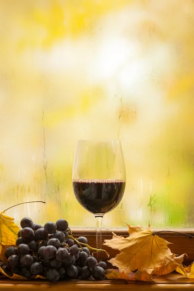 Jesienią czerwone wino — Zdjęcie stockowe