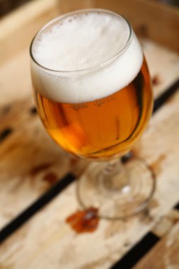 Bardak bira içinde bir krater