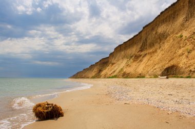 Vahşi Karadeniz plaj