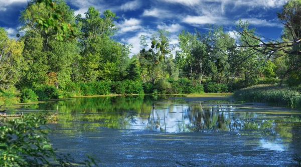 Дикі літа озеро Ліцензійні Стокові Фото