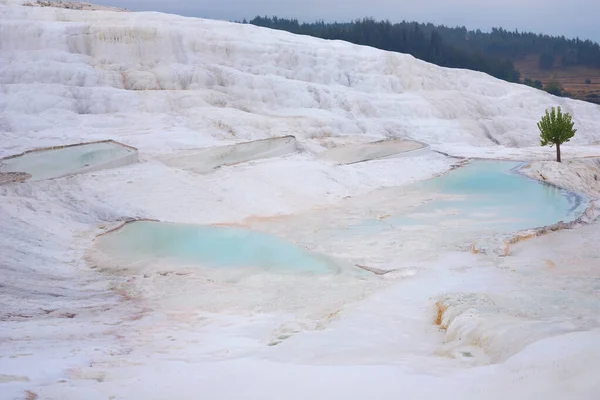 Naturalne Trawertynowe Baseny Tarasy Pamukkale Turcja — Zdjęcie stockowe