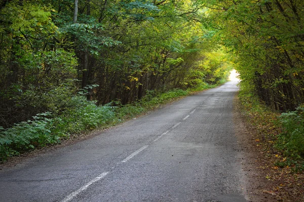 Natuurlijke tunnel — Stockfoto