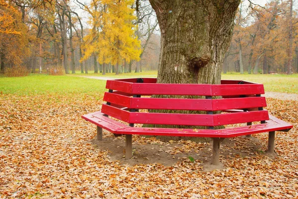 Unusual bench in the park — Stock Photo, Image