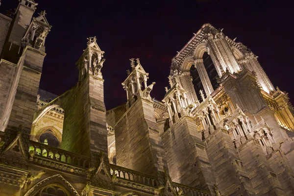 Notre dame de paris — Stockfoto