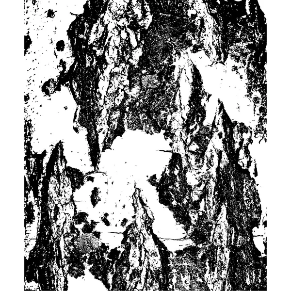 Corteccia di betulla nella consistenza crepe. Illustrazione vettoriale — Vettoriale Stock