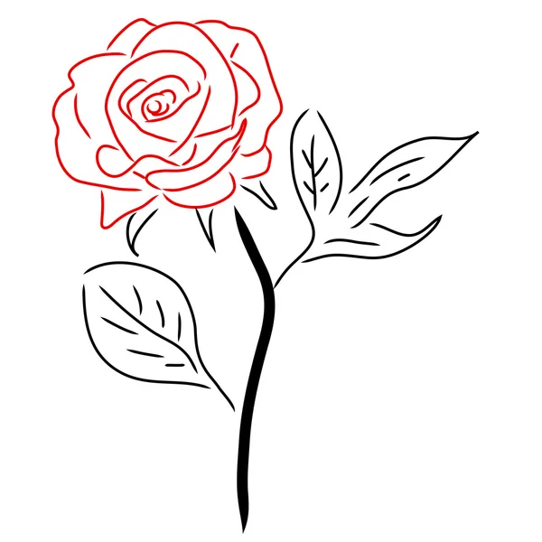 Rosa Rossa isolata su bianco, illustrazione vettoriale — Vettoriale Stock