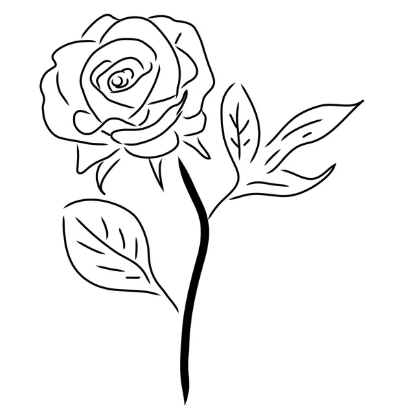 Rosa roja aislada en blanco, ilustración vectorial — Archivo Imágenes Vectoriales