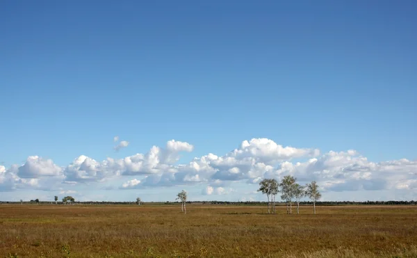 And scape with clouds and field up to the horizon . — стоковое фото