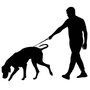 Doberman beyaz arkaplanda siyah bir siluet buldu..