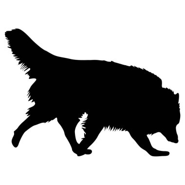 Beyaz arkaplanda çoban köpeği siyah silueti.