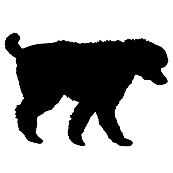 Poodle Perro Silueta Negra Sobre Fondo Blanco — Archivo Imágenes Vectoriales