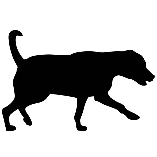 Labrador Dog Black Silhouette White Background — Stock Vector
