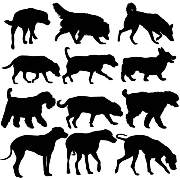 Set Silueta Perro Doméstico Sobre Fondo Blanco — Vector de stock