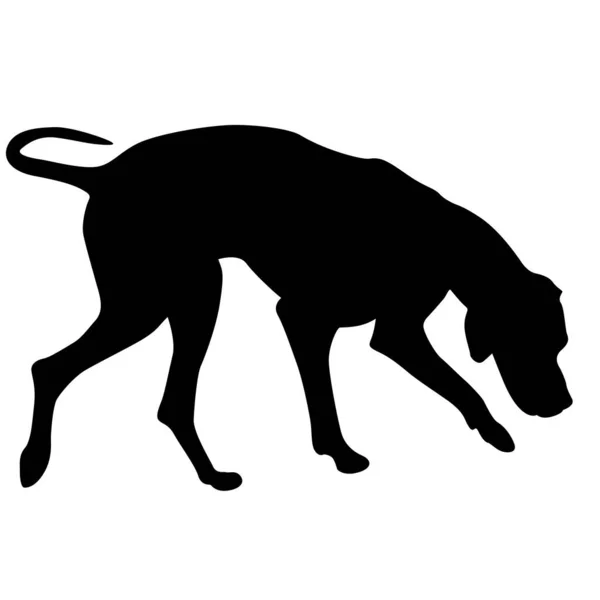 Doberman Pinscher Dog Black Silhouette White Background — Stock Vector