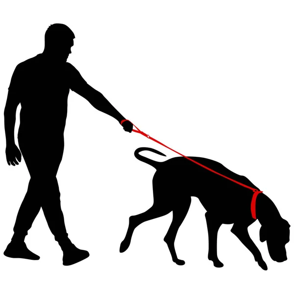 ドバーマンピンチャー犬黒シルエット上の白い背景 — ストックベクタ