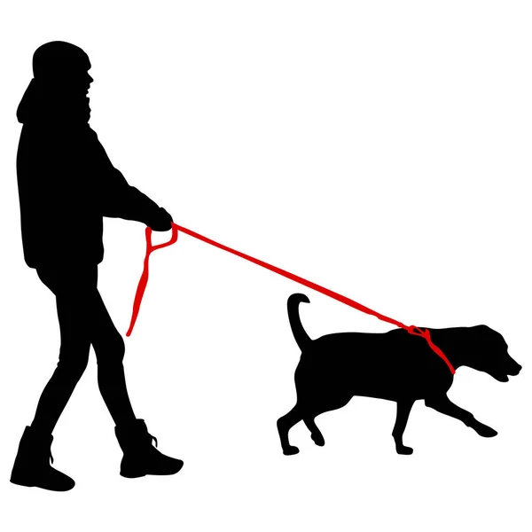 Silhouette Von Frau Und Hund Auf Weißem Hintergrund — Stockvektor