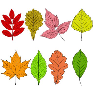 Çizimleri beyaz arkaplan illüstrasyonunda siluet yapraklarını ayarla.