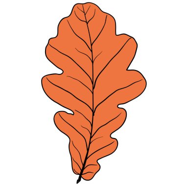 Beyaz arkaplan resimlerinde siluet yaprakları çizer.