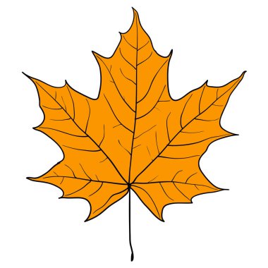 Beyaz arkaplan resimlerinde siluet yaprakları çizer.