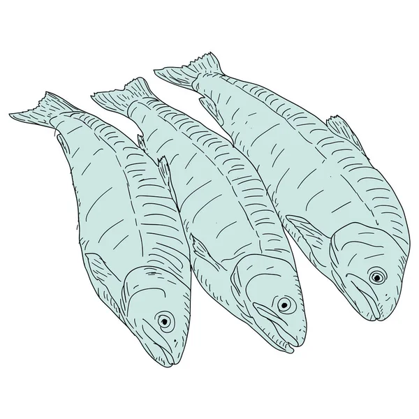 Sbírka Přírodních Mořských Ryb Náčrtek Bílém Pozadí — Stockový vektor