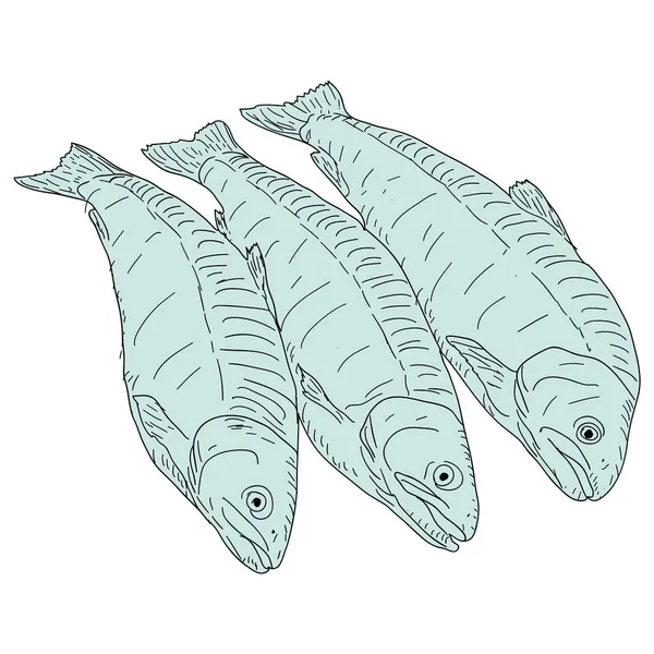 Colección Bocetos Naturales Peces Marinos Sobre Fondo Blanco — Vector de stock