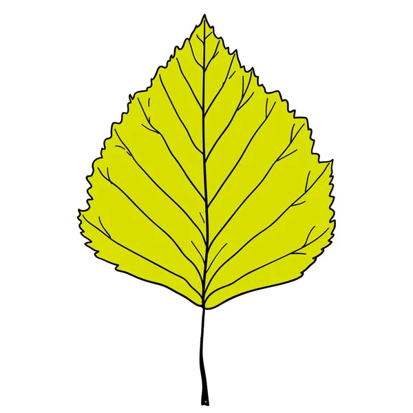 Skizziert Silhouetten Blätter Auf Weißem Hintergrund Illustration — Stockvektor
