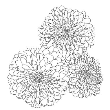 Beyaz arkaplanda güzel bir çizim çiçeği.