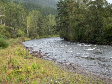 Dalgalar, sprey ve köpük, Altai dağlarında Katun nehri. Sibirya, Rusya.