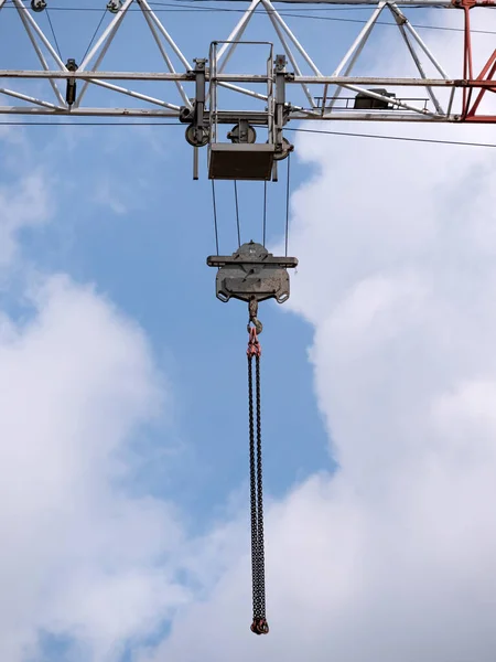 Grote Gevlekte Specht Een Zoek Naar Voedsel Een Boom — Stockfoto